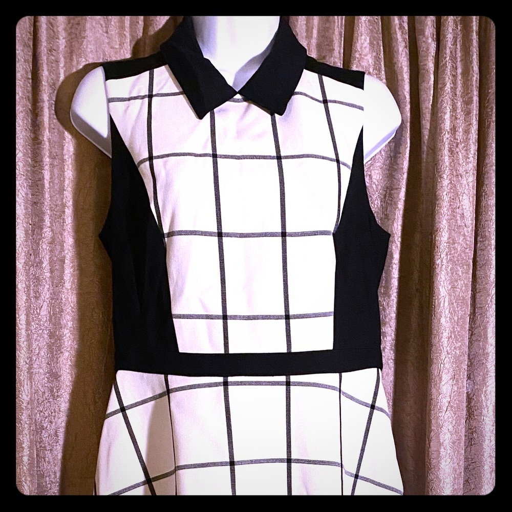 Ann Taylor Loft dress